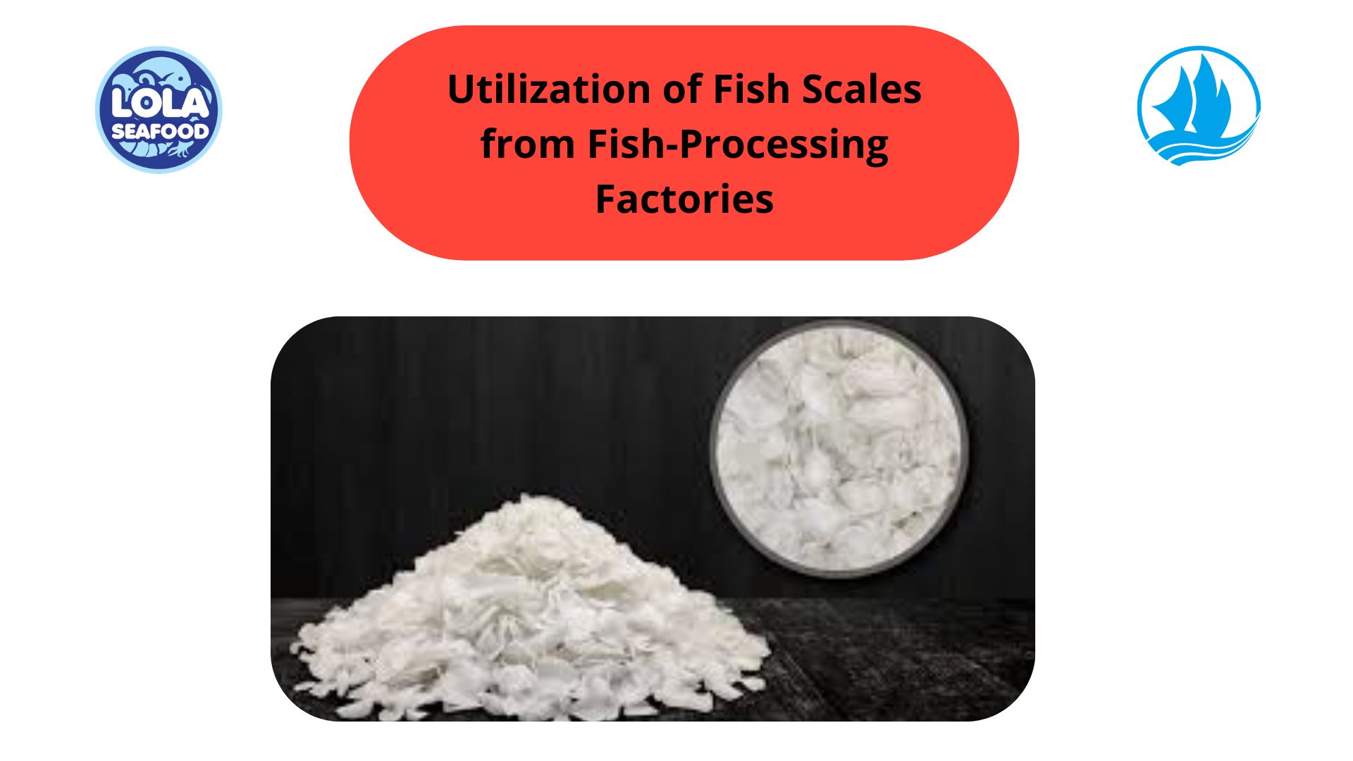 Utilization of Fish Scales from Fish-Processing Factories